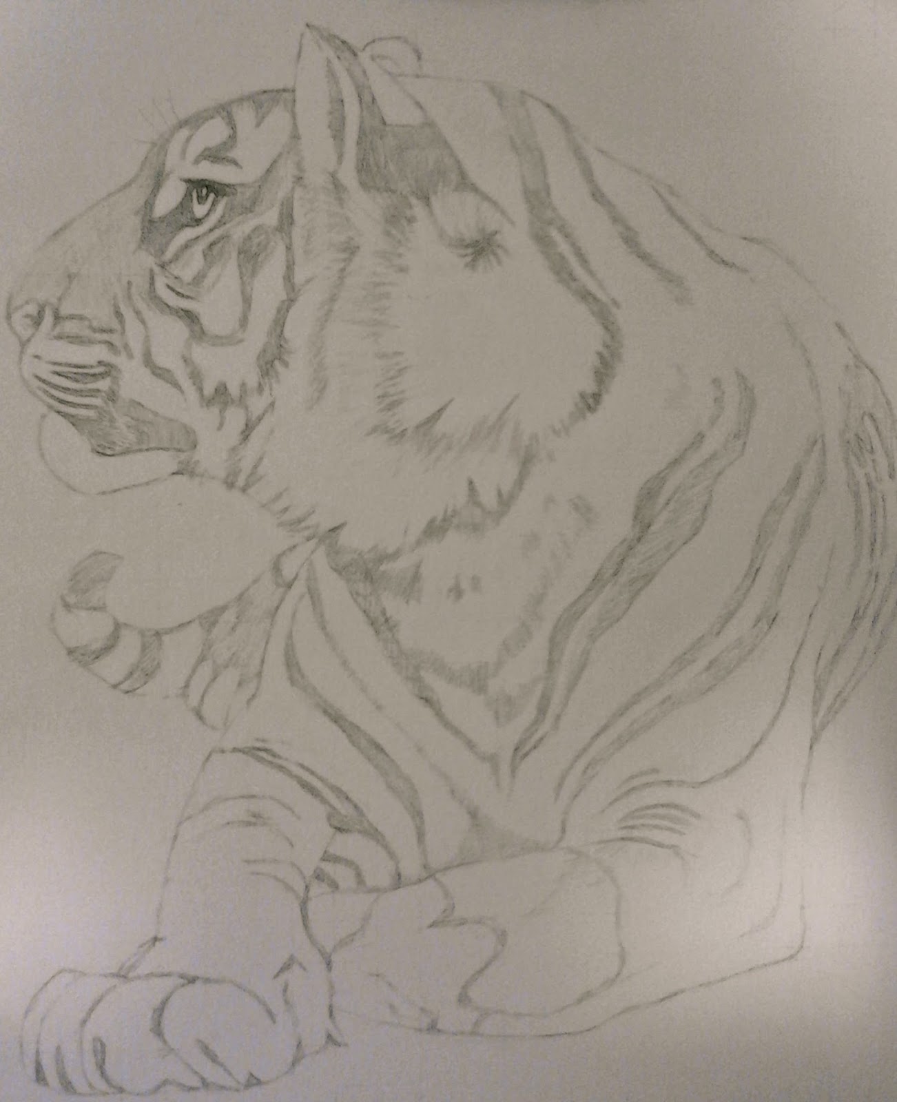 Los Dibujos de Roseta: Tigre de Bengala