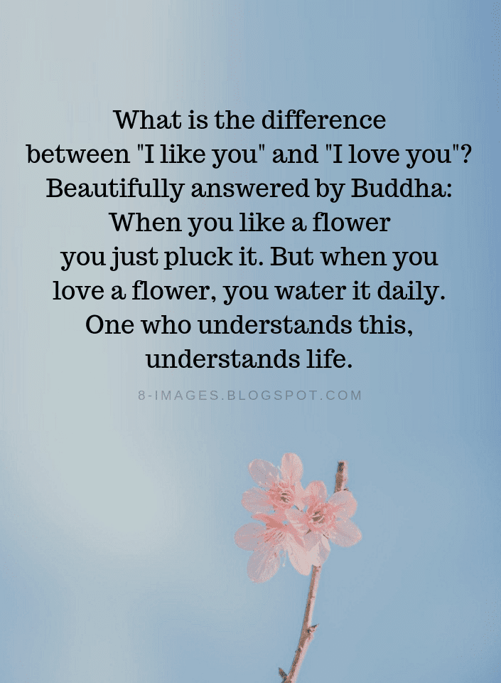 True Love Quotes What is the difference between "I like you" and "I