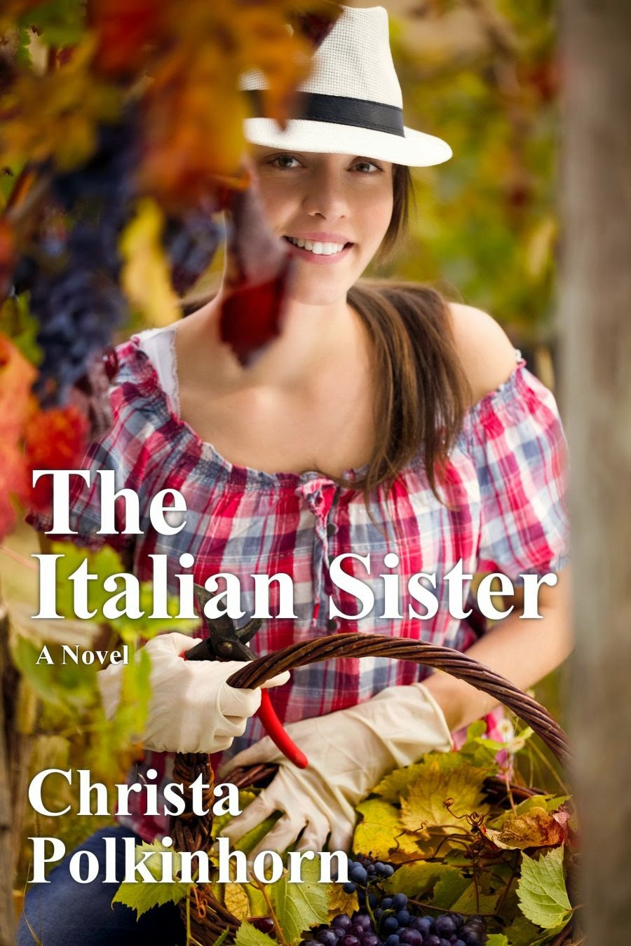 The Italian Sister (The Wine Lover's Daughter, Book 1) CLICK ON THE BOOK COVERS BELOW.