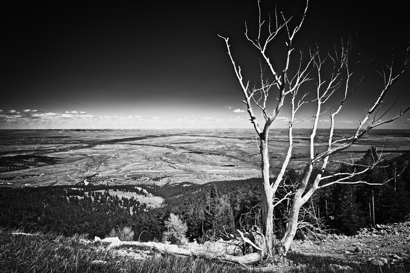 evelinabarry Black And White Digital Photography