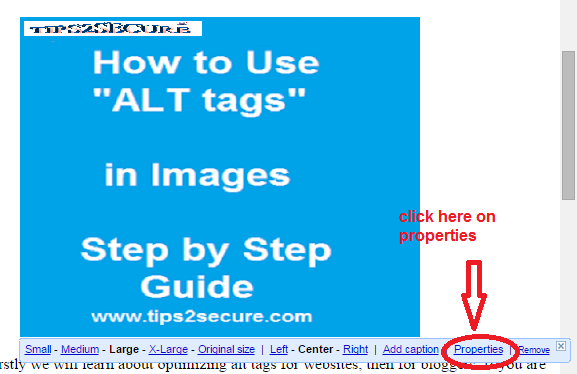 Alt Tags: What Is Alt Tag And How To Use It Effectively – BLGQMG