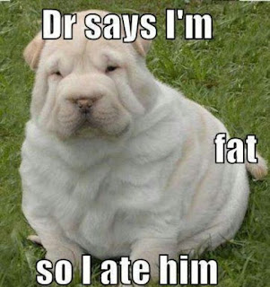 Dog Humor : Dr Says i'm fat so i ate him.