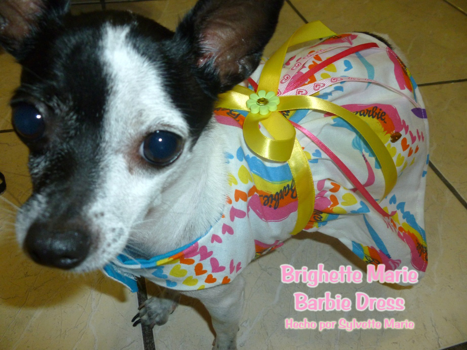 The Doggie House PR Barbie Dog Dress