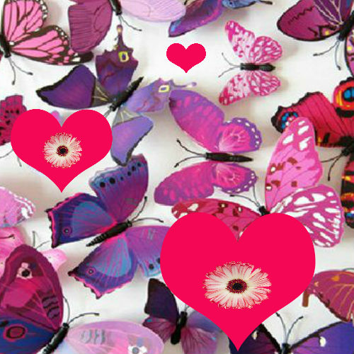 mariposas y corazones de colores rosa y fucsia