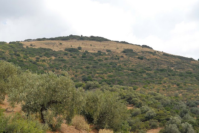 SF χρονολόγηση γεγονόταΨυχολογία σήμερα dating ερωτήσεις