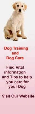 Dog Training and Dog Care