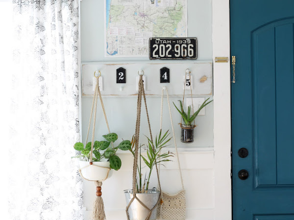 Hanging Plants in our Entryway