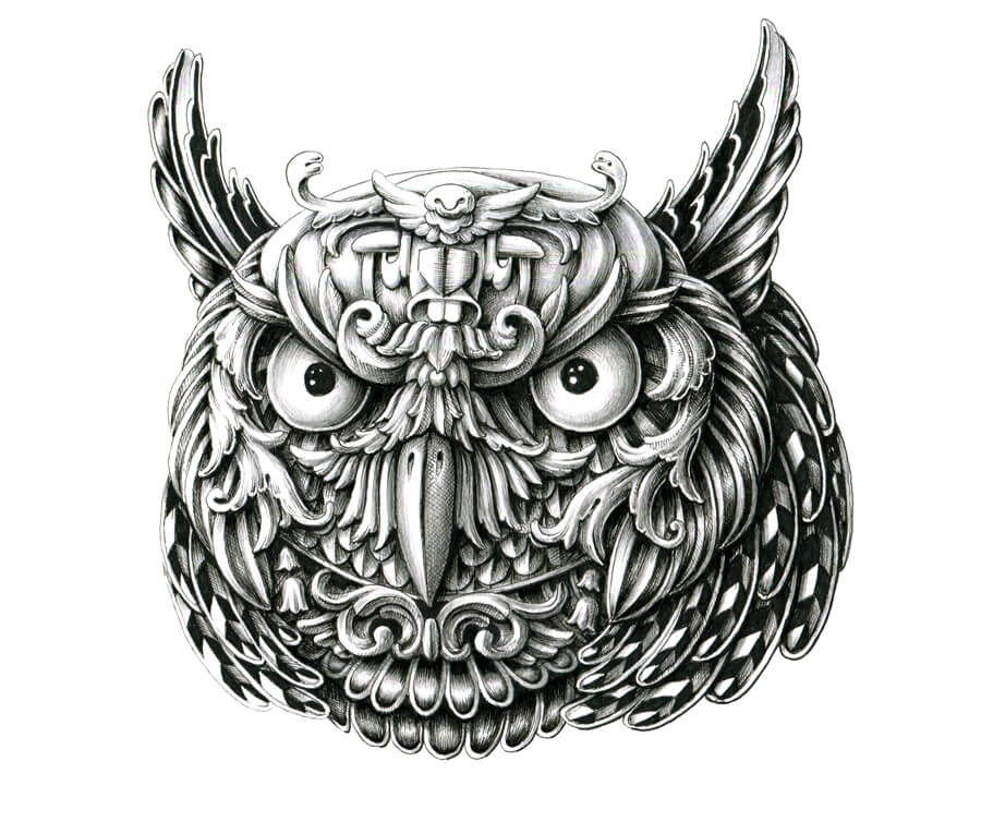 06-Owl-Alex-Konahin-Super-Detailed-Ink-Animal-Drawings-www-designstack-co