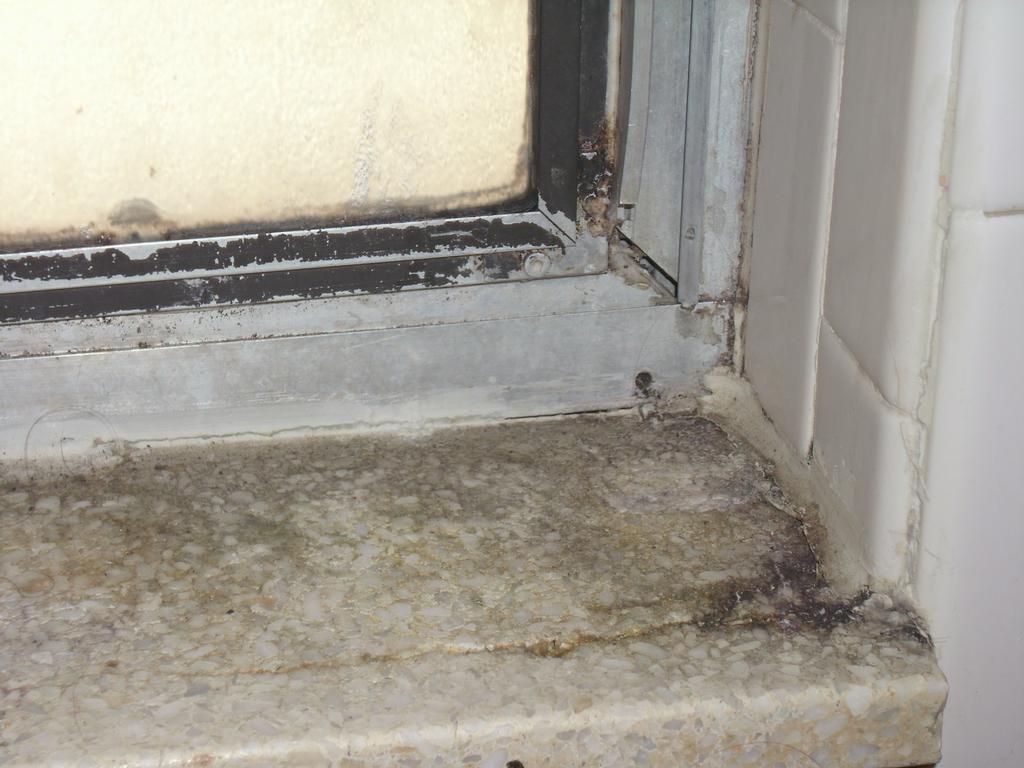 Adventures with Celestial Aromatherapy