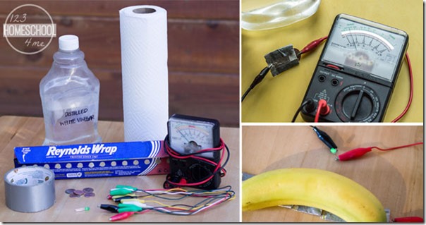 Homemade Battery Science Experiment