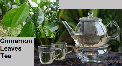 The German-Brazilian Londoner: Brazilian Native Cinnamon Leaves Tea - a