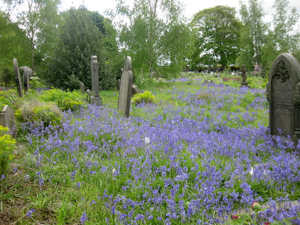 I used to help maintain Worsbrough cemetery