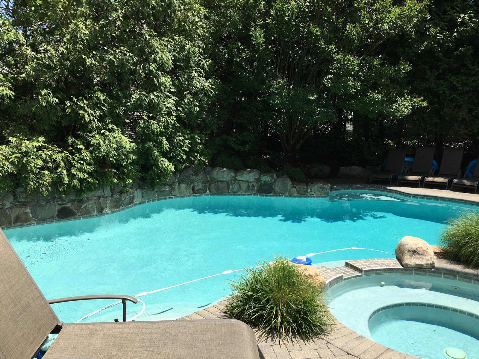 Freeform swimming pool in backyard