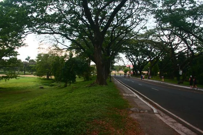 Road inside UP Diliman