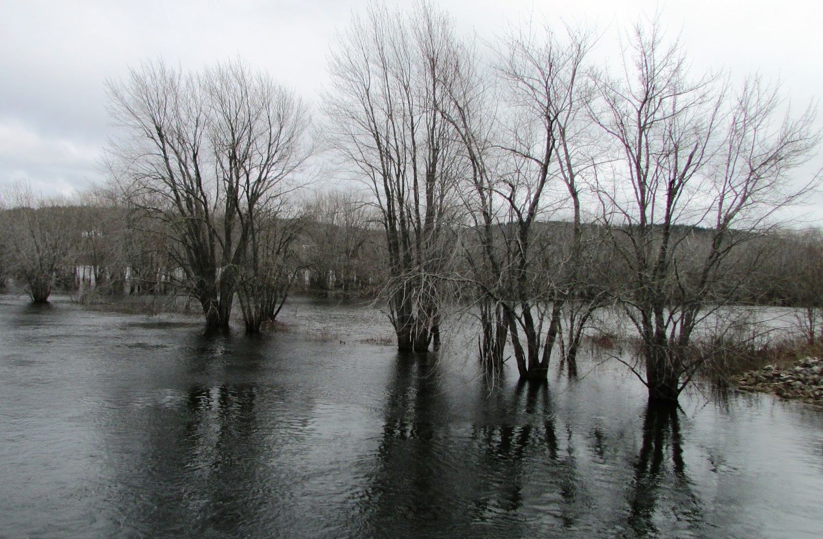 New Brunswick's Covered Bridges Darlings Island