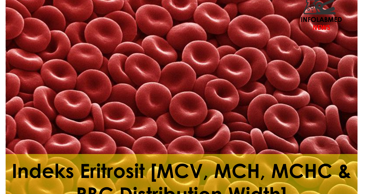 Indeks eritrosit mcv mch mchc rbc distribution width 