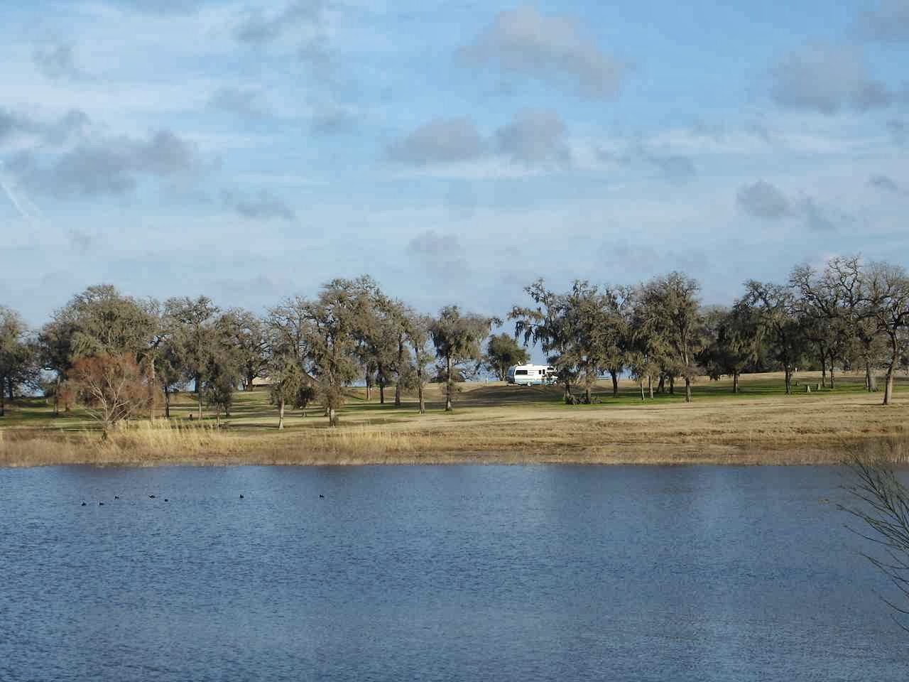 J and B and Lady Blue Rocky Creek COE and Potter's Creek COE
