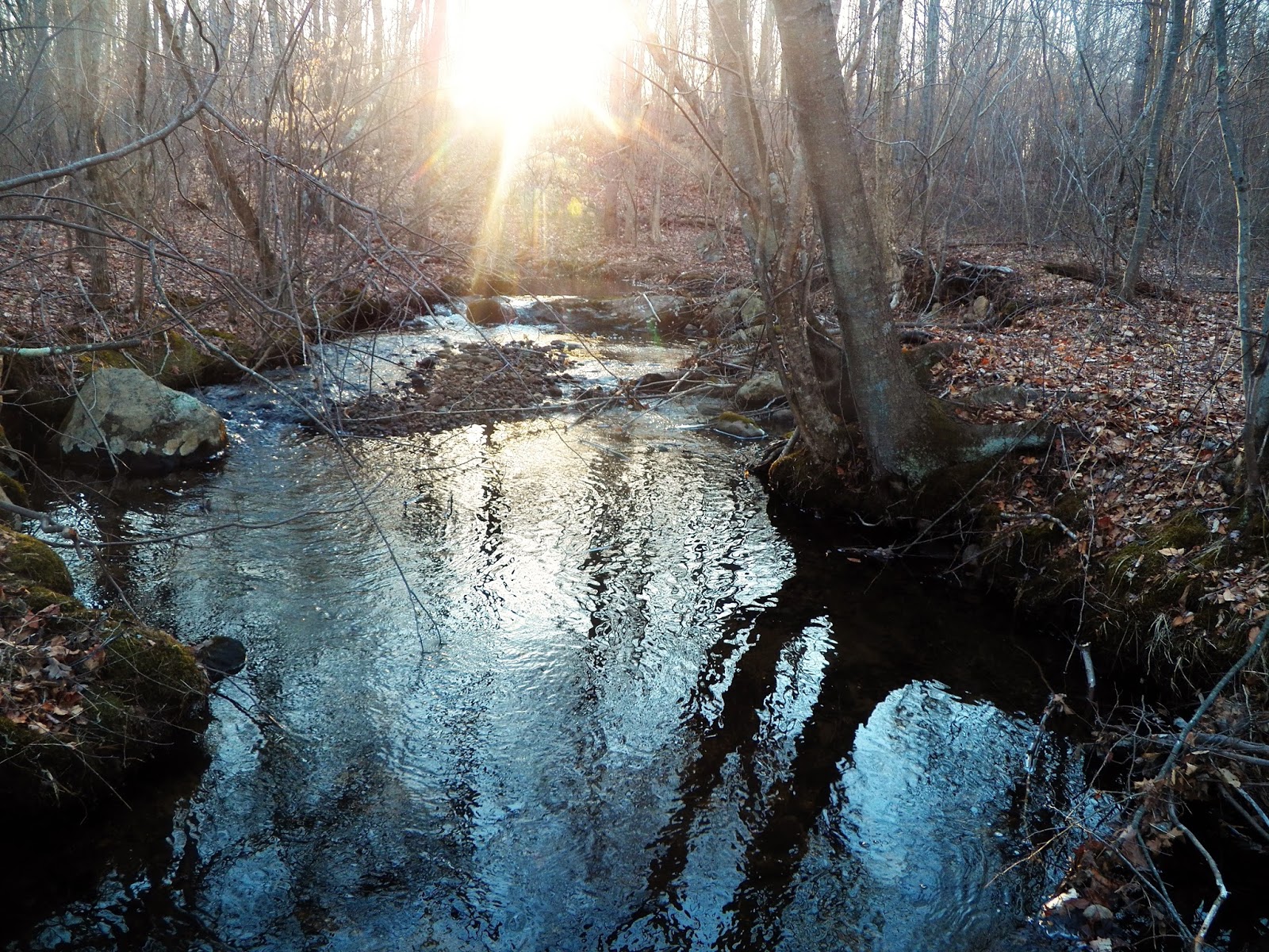 Connecticut Fly Angler Another Amazing New Brook Trout Stream