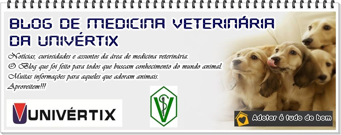 Blog de Medicina Veterinária