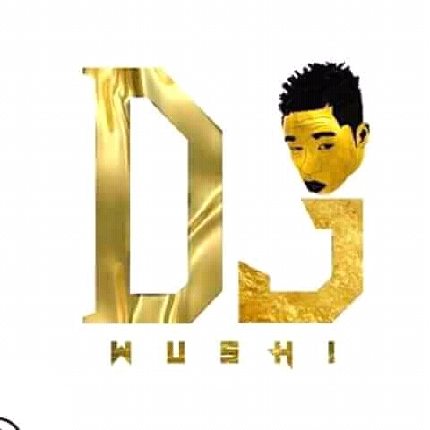         DJ wushi