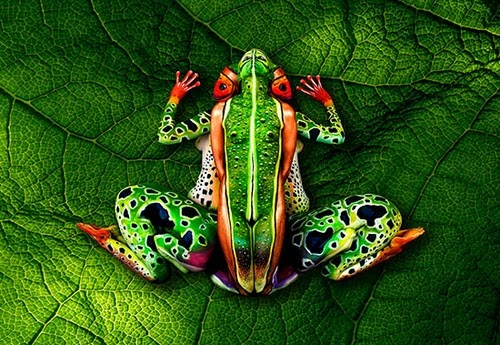 01-Frog-Body-Paint-Johannes-Stötter-Musician-Fine-Art-Body-Painter-www-designstack-co