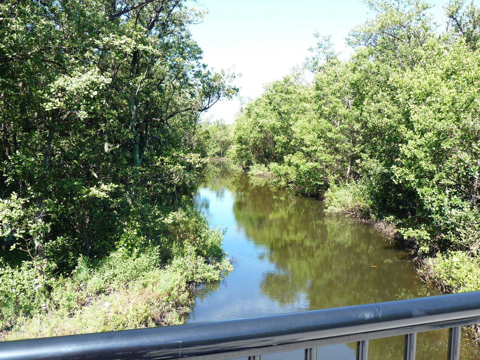 Clam Bayou Bike Path
