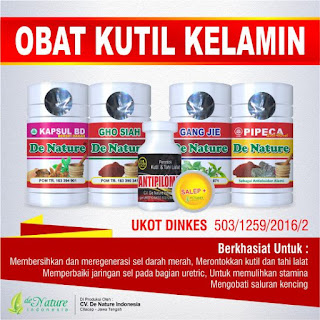 Obat Minum Dan Salep Kutil Kelamin