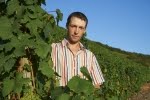 Wein- & Sektgut Daniel Anker Köwerich/Mosel , 5 Weißweine, 1 Rotwein