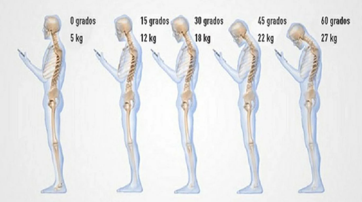 L’utilizzo del telefono cellulare mette in pericolo la colonna vertebrale cervicale.