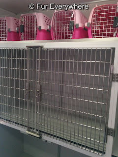 Cages and carriers inside Meow Mobile