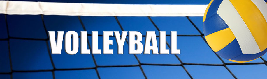 PE Blog IESO Harévolar: Volleyball