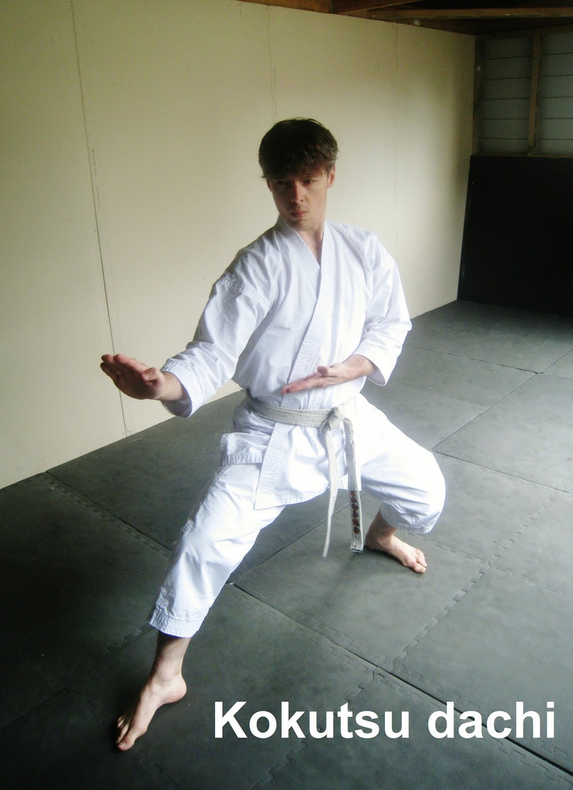 Киба дачи стойка фото