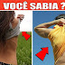 7 COISAS QUE OS HOMENS E AS MULHERES FAZEM DE FORMA DIFERENTE E VOCÊ NUNCA REPAROU