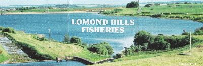 lomond hills fishery