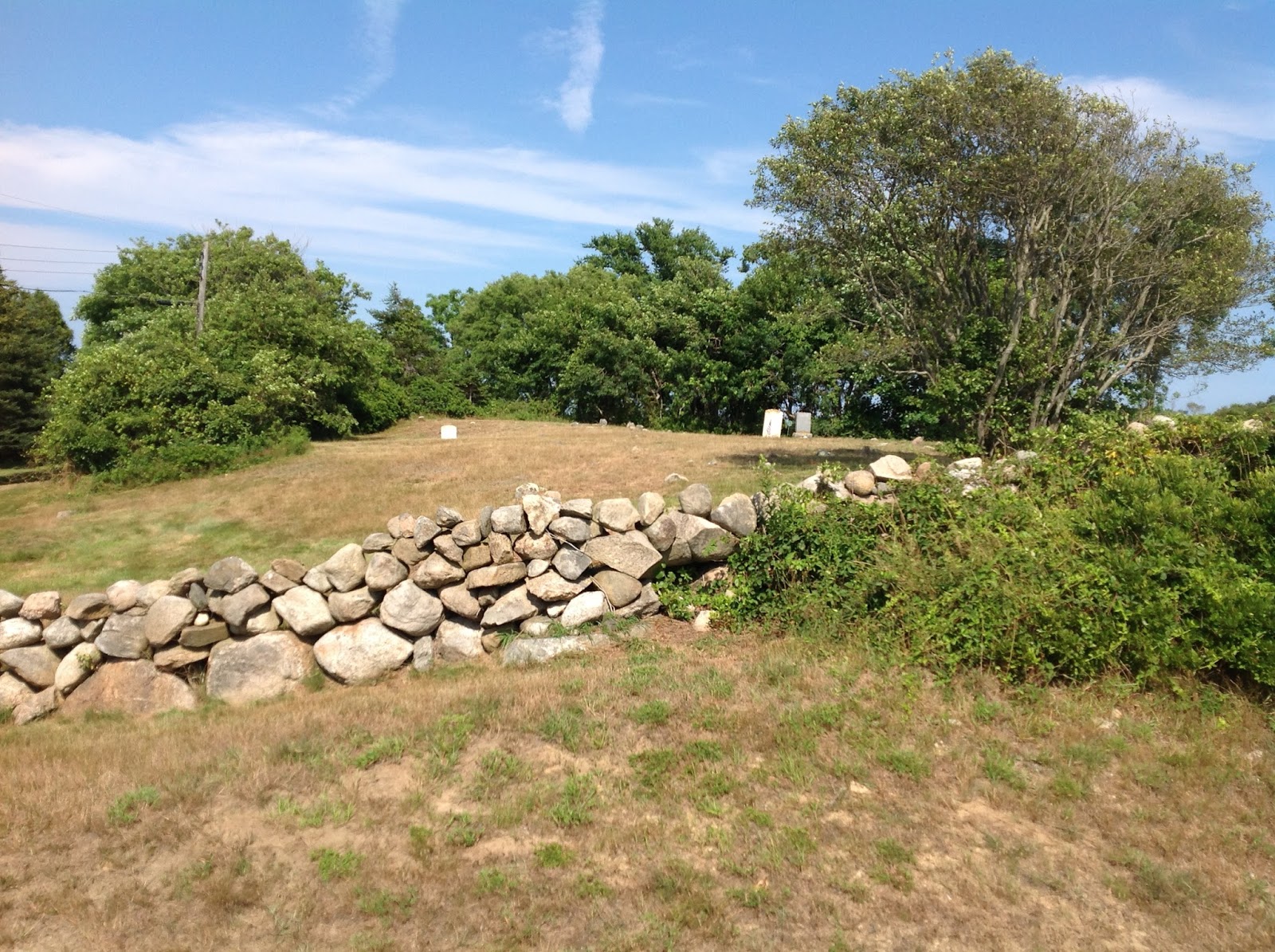 Life From The Roots Block Island, Rhode Island