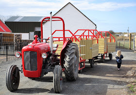 punainen traktori, Sandy feet farm