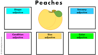 Reading2success: Introduce shape, size, sensory, condition and color ...