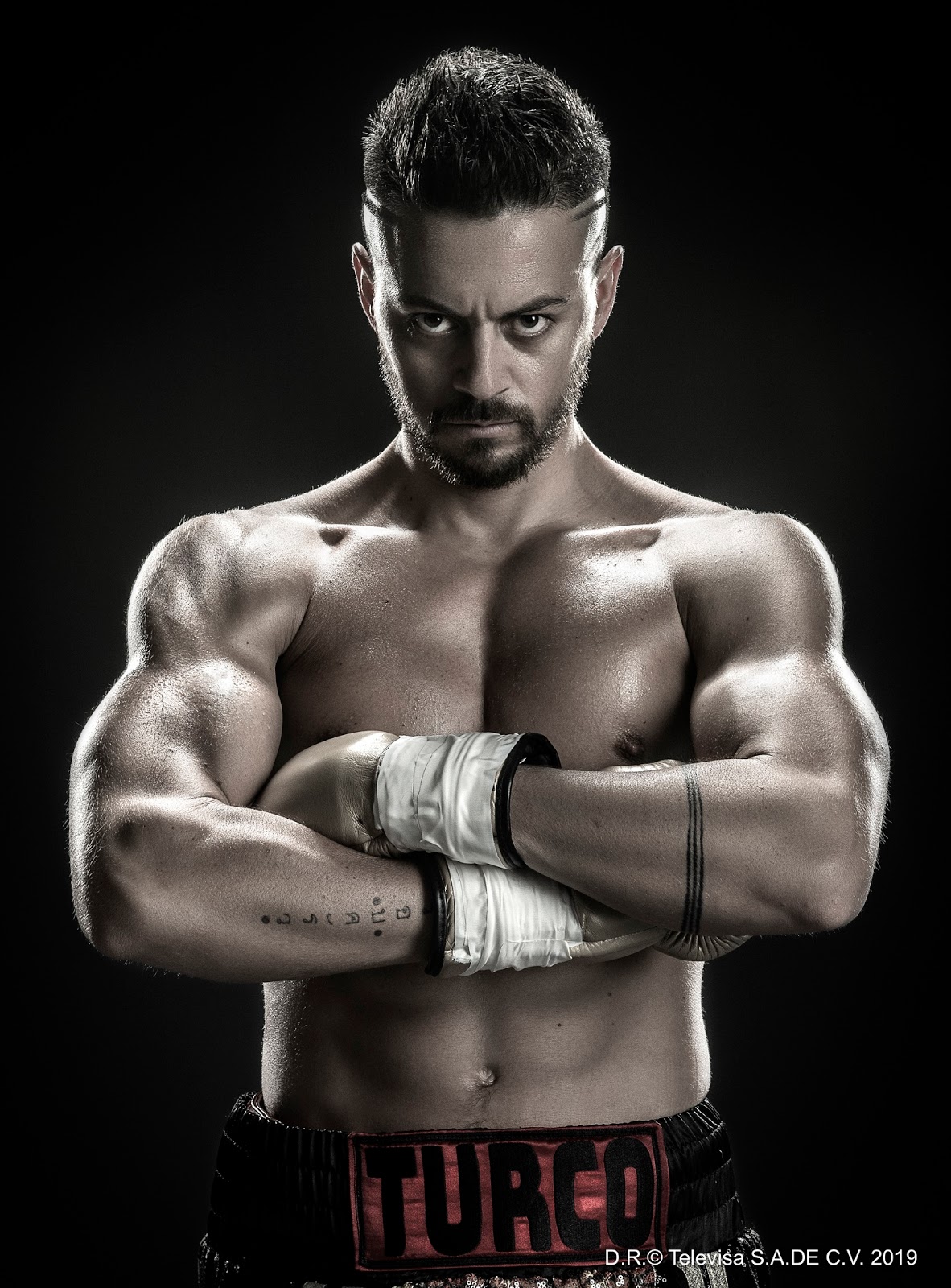 Telenovela Ringo, la pelea de su vida (Fotos y sinopsis)