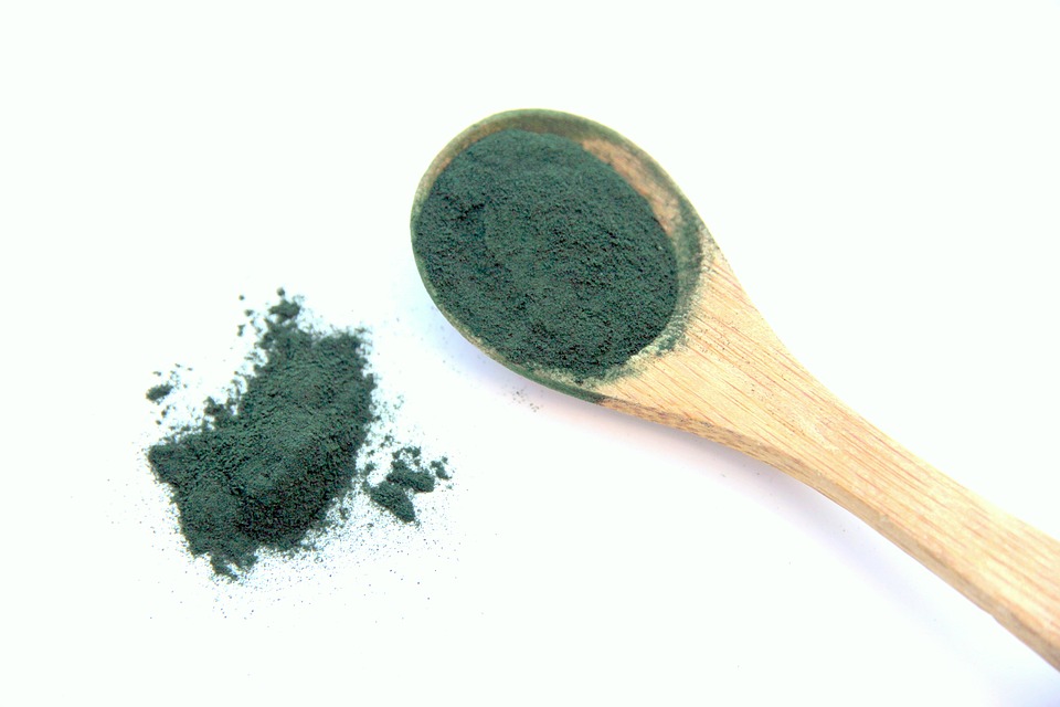 Natural & Bela Spirulina a origem da vida