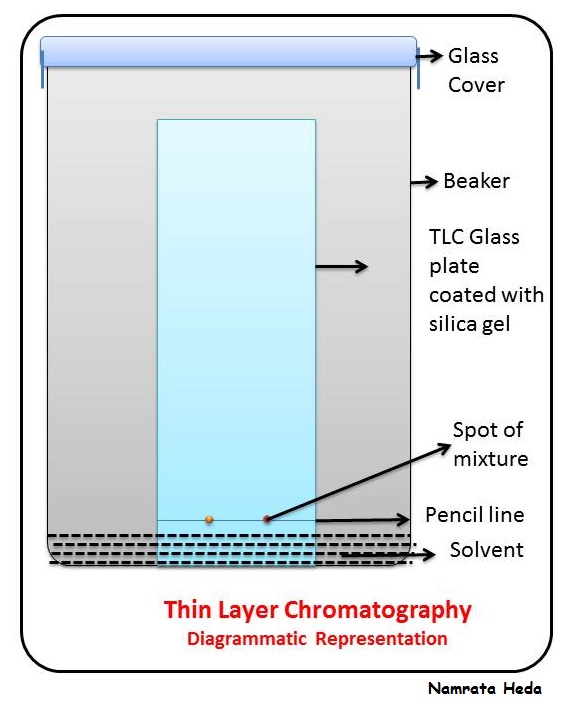 B for Biology: Chromatography - Thin Layer Chromatography