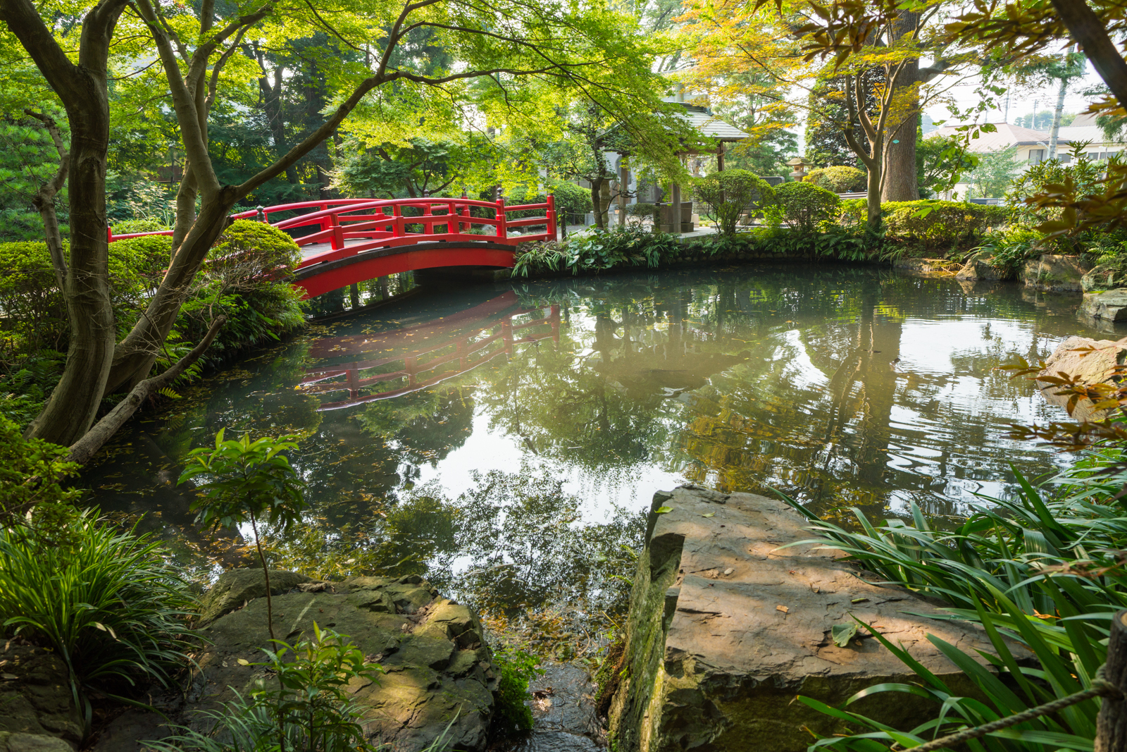 東京の名湧水５７選に選ばれる貫井神社の池の写真