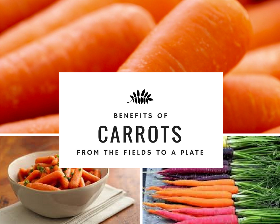 Benefits of carrots