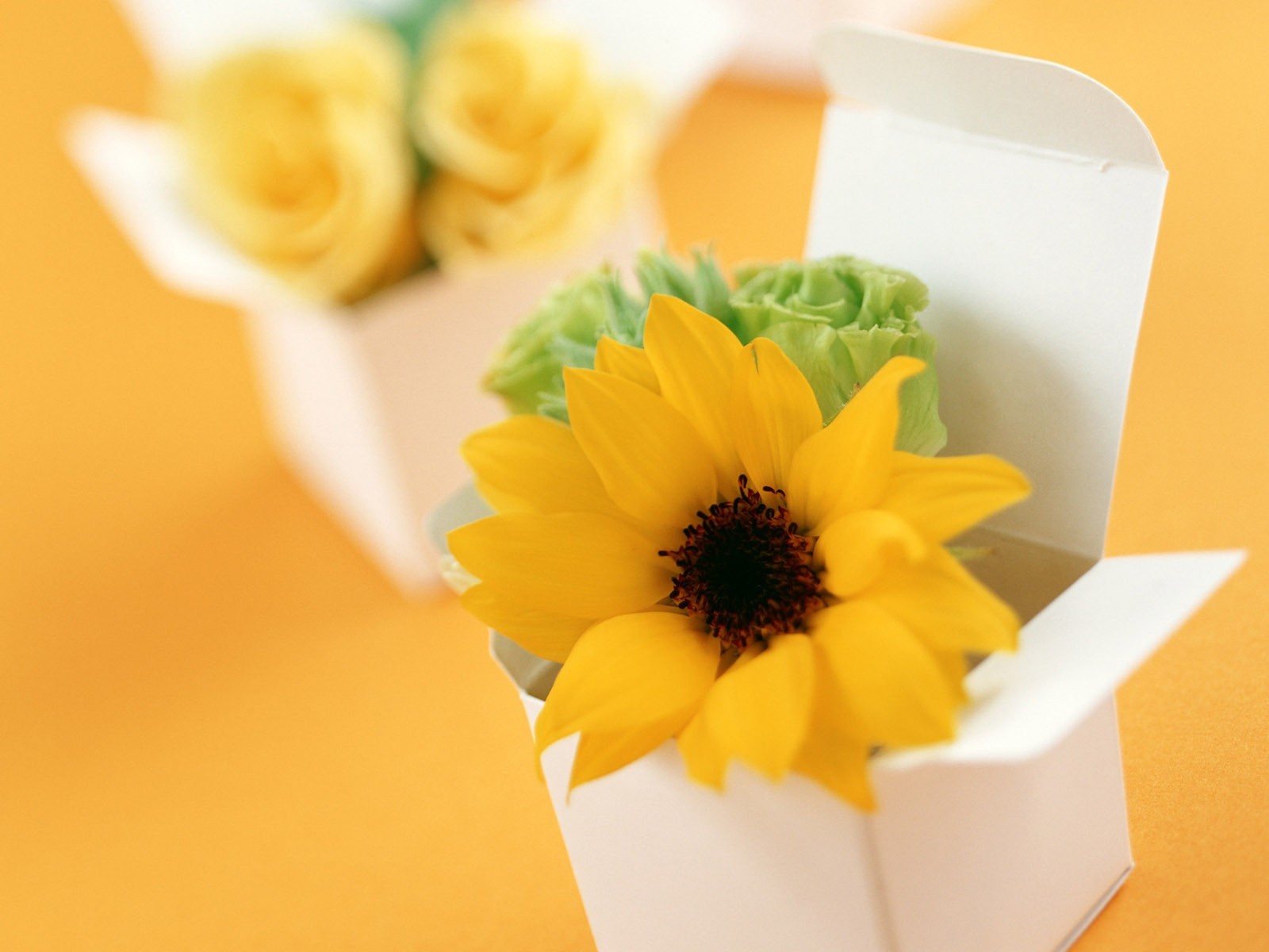 FREE4U: Box Of Flowers Wallpaper
