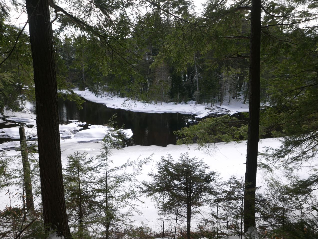 Adirondack Hiking The Floodwood Loop XCSkiing near Saranac Lake