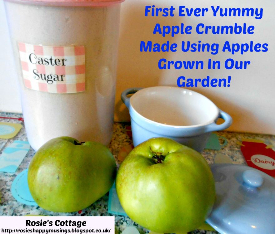 Rosie's Cottage Yummy Apple Crumbles Made From Apples Grown In Our Garden