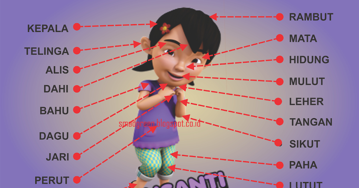 Gambar Hidung Untuk Anak Paud / Mewarnai Gambar Masjid Untuk Anak PAUD