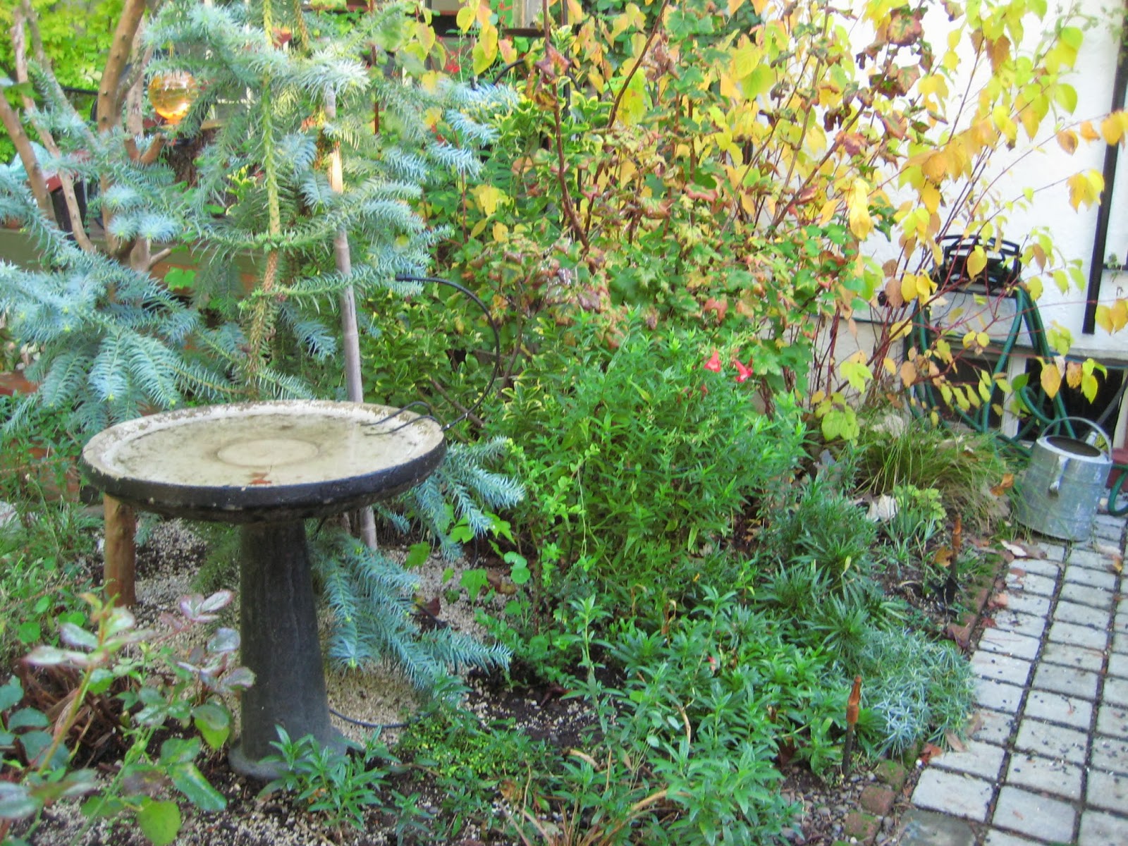 Nature Observation Discovery Community Spotlight On Redtwig