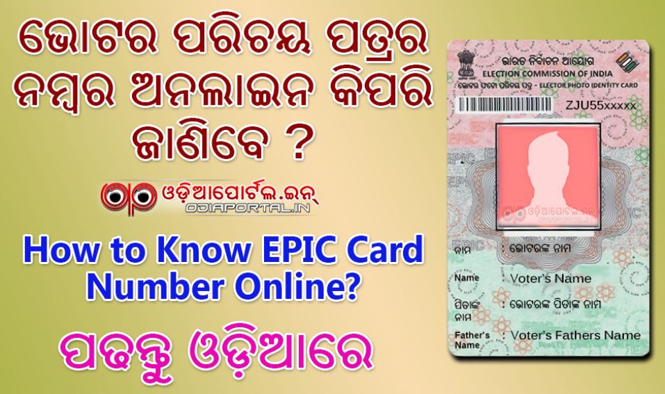 2024 Voter Registration Numbers Odisha Sharl Demetris