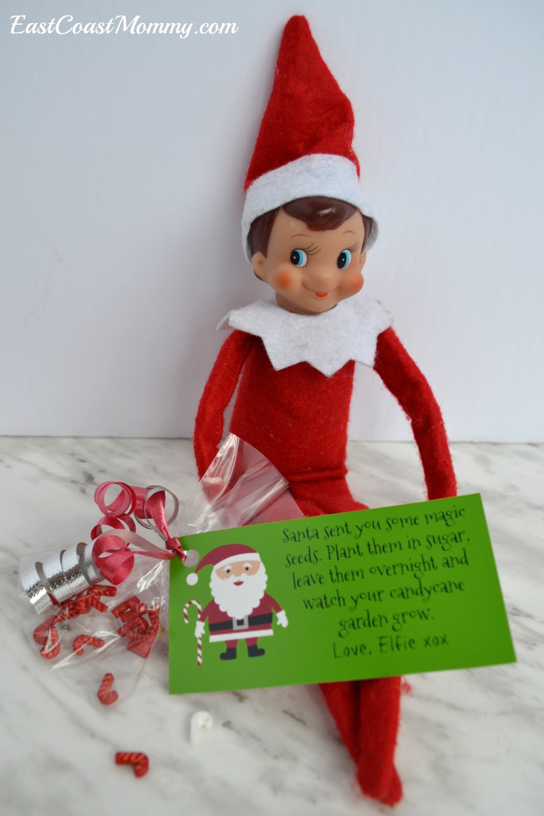 East Coast Mommy Elf on the Shelf Magic Seeds... for a candy cane garden