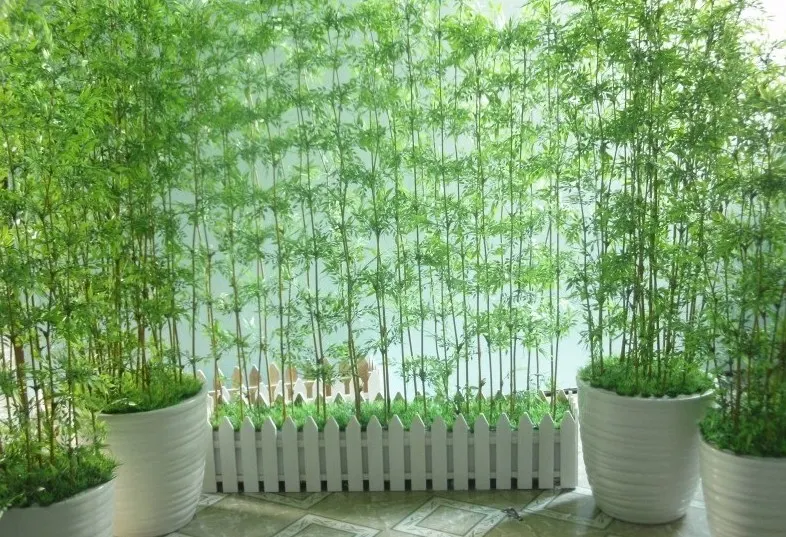 Chăm sóc cây cảnh trồng trong chậu